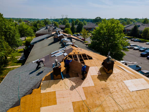 Quick and Trustworthy Emergency Roof Repair Services in Mckinney, TX